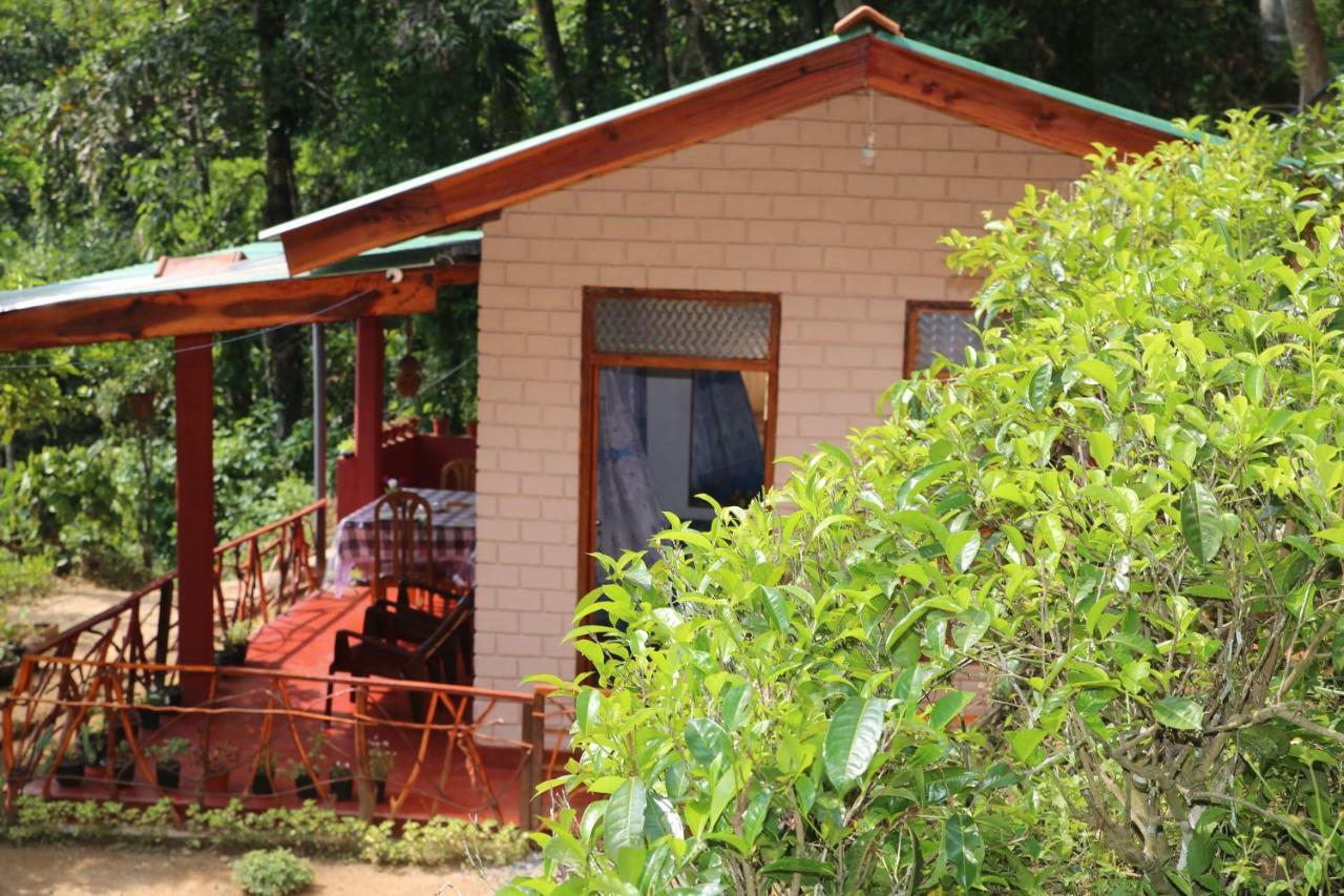 Hidden Slope Cottage Ella Exterior foto